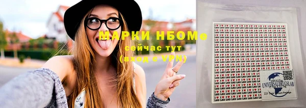 твердый Верхний Тагил