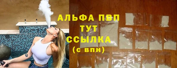 шишки Беломорск