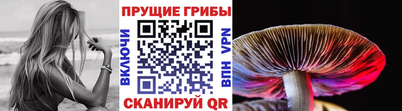 Галлюциногенные грибы Psilocybine cubensis  OMG ONION  Барабинск 